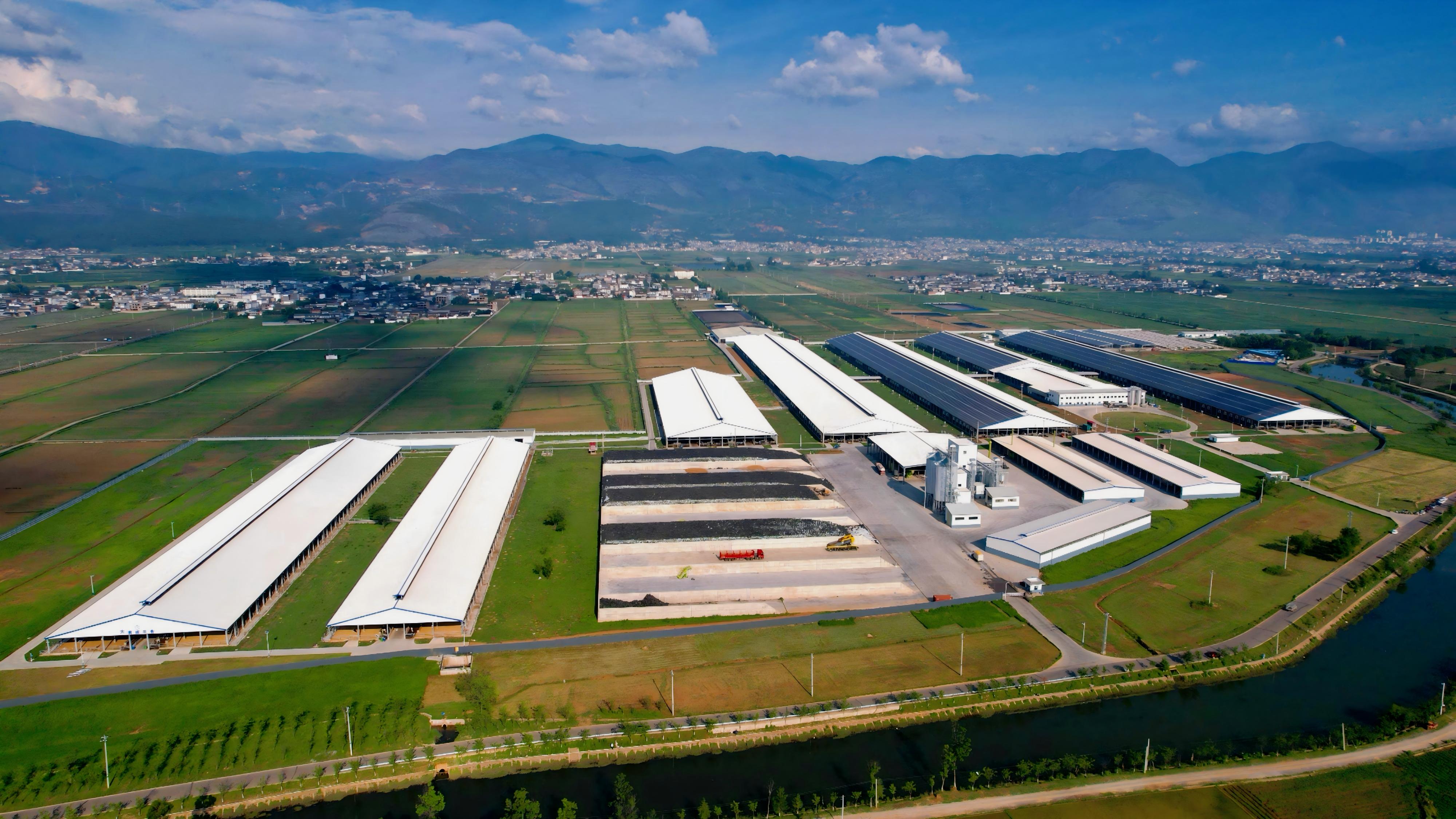 标准化牧场建设